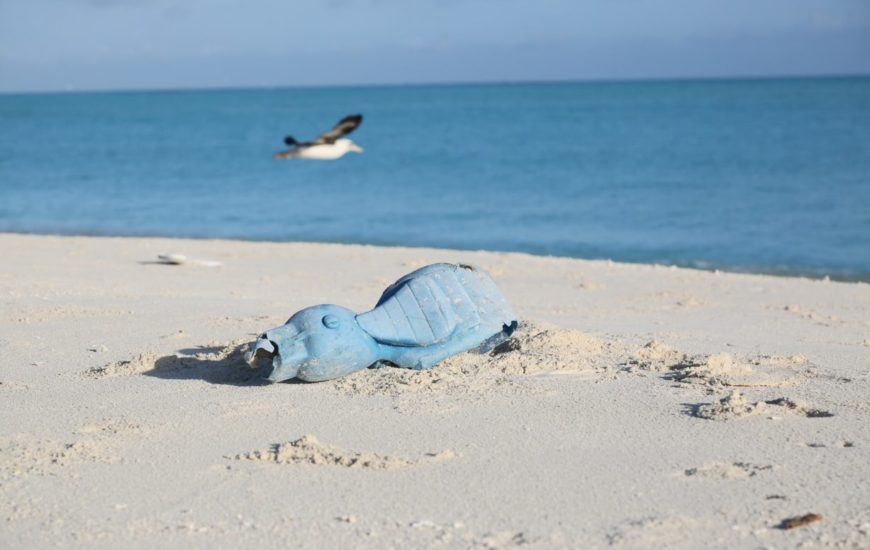 Collectes déchets Initiatives Océanes