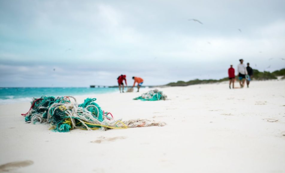 Devenez Bénévole Pour Surfrider Foundation Europe Surfrider